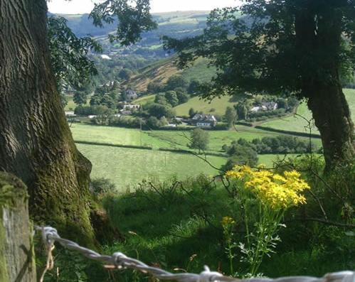 Horseshoe Pass Holiday Lets Ланголен Стая снимка